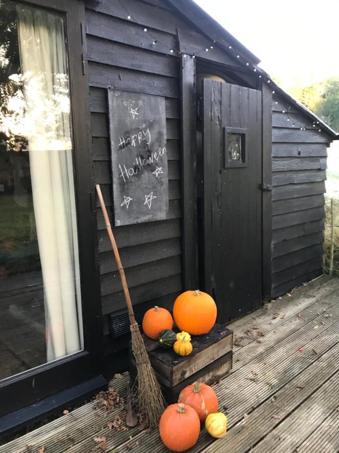 The Old Apple Shed Cosy Heated Cottage In A Meadow Close To The Charming Village Of Bethersden Ashford  Exterior foto